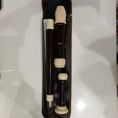 Item thumbnail for item 059ea43e-fd2d-4031-a1fc-e2e93b263c98