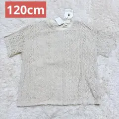&mignon 総レース 半袖Tシャツ トップス プルオーバー 120cm