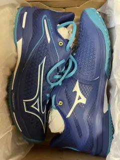 Mizuno Wave Exceed Tour 6 テニスシューズ オムニ