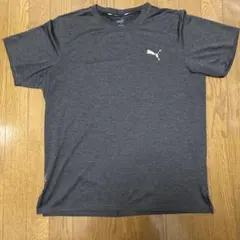 ポロシャツ Tシャツ