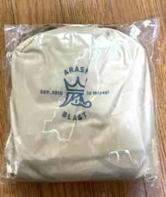 Item thumbnail for item e652c0db-487c-4b5d-8a56-bf3d26bf3a30