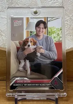 大谷翔平 2023 topps MVP受賞記念 デコピン