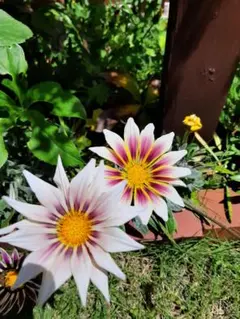 ⭐︎ひとみん⭐︎様 リクエスト 2点 まとめ商品