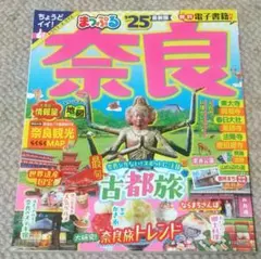 Item thumbnail for item 78133aaa-b28a-4a2b-9fb9-53eeba3b0fa8