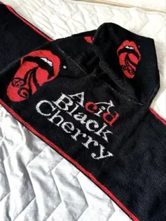 Acid Black Cherry フード付きタオル yasu 新品 - メルカリ