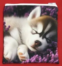 Item thumbnail for item ab65a3da-ec5f-407a-999a-d27892aa09ab