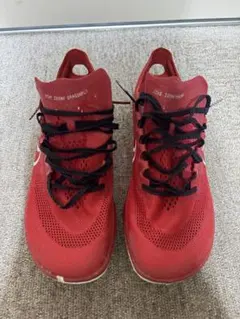 NIKE Zoom Dragonfly28.0cm 限定カラー 超美品 - メルカリ