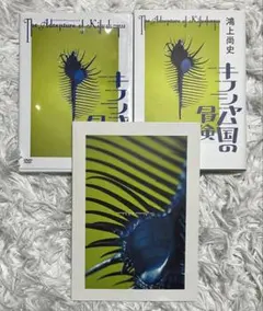 【即購入可】キフシャム国の冒険 DVD/パンフ/本セット