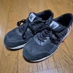 Item thumbnail for item d12615fd-bba9-464d-a263-40a872763b44