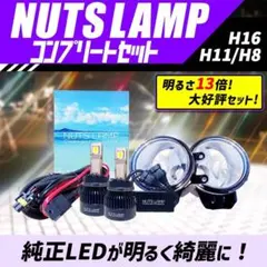 RHF-161Y 角型ハロゲンフォグランプ 黄 12V55W 1個だけ - メルカリ