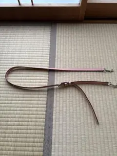 COACH コーチ ショルダーバッグ レザー シボ革　 ショルダーストラップ