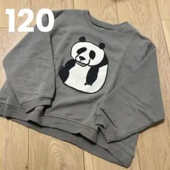 パンダ 120