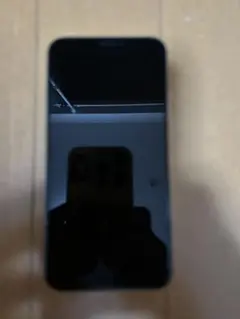 Apple iPhone X 本体