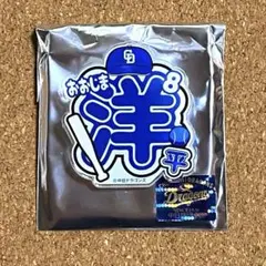 中日ドラゴンズ アクリルネームバッジ【8 大島洋平 選手】