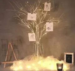 Item thumbnail for item 80a7c069-2f9c-4cb2-81cf-a854187a9641