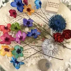 ②カラフルシクラメン✨画像右のリース素材もセットです