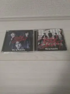 WANDS BURN THE SECRET CD 2枚セット