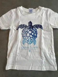 値下げ　宮古島空港 x ナミマ Tシャツのサムネイル