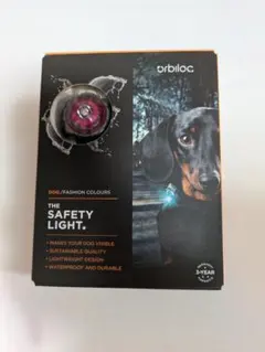 Item thumbnail for item 1180b11d-1293-48a2-9056-d514925c655b