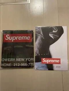 supreme ノベルティー　ランドリーバッグ　ポスター
