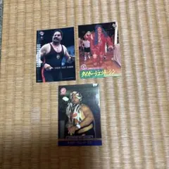 2025年最新】タイガージェットシンの人気アイテム - メルカリ