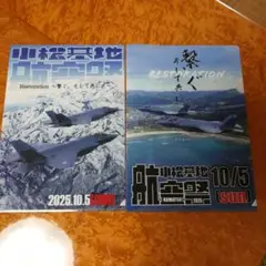 航空自衛隊 小松基地航空祭 2025年 公式クリアファイル 2種2枚 非売品