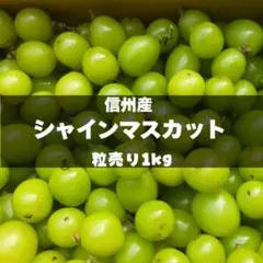 即発送可 長野県産シャインマスカット 訳あり 粒パック 約350g×2パック