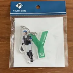 郡司裕也 アクキー・アクスタ 2025年最新】郡司裕也アクスタの人気アイテム - メルカリ