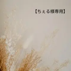 ちぇる様専用です❁