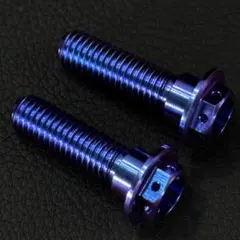 64チタン M8×30mm 2本 ブレーキ ディスク ボルト ZRX m1478 - メルカリ