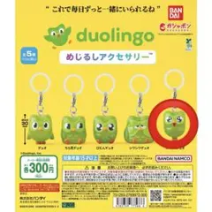 duolingo めじるしアクセサリー　わくわくデュオ