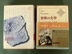 鳩の翼 上下セット 講談社文芸文庫 ヘンリー・ジェイムズ 絶版 - メルカリ