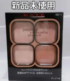 KATE ポッピングシルエットシャドウ OR-1