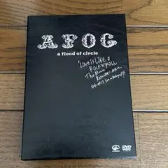 a flood of circle/\"LOVE IS LIKE A ROCK…