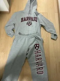 2026年最新】ハーバード大学の人気アイテム - メルカリ