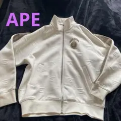 SWANK パラライ アンちゃん ジャージ 上下　Mサイズ　セットアップ SWANK パラライ アンちゃん ジャージ 上下 Mサイズ セットアップ