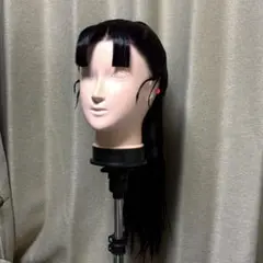 2025年最新】立花仙蔵ウィッグの人気アイテム - メルカリ