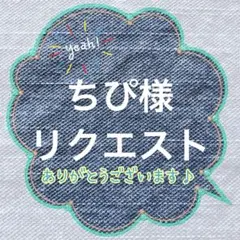 ちぴ様 リクエスト 10点 まとめ商品