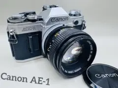 腰痛持ちの店長様 リクエスト 2点 まとめ商品