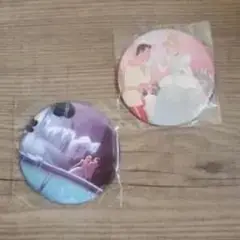 シンデレラ マグネット 2個セット