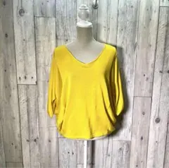 AMERICAN HOLIC アメリカンホリック(F)半袖ニット サマーセーター