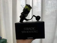 TAKA43 様専用 ストラディックSW 24 STRADIC SW4000XG - メルカリ