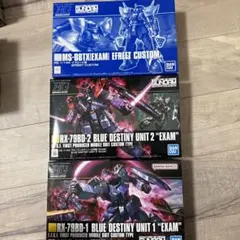HG ガンプラ ブルーディスティニー1号機 2号機 EXAM イフリート改