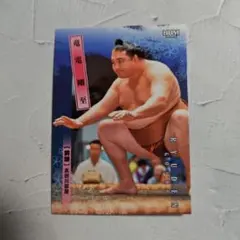 Item thumbnail for item 45ee5576-1f43-4580-bfec-19968b90f748