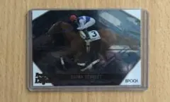 イナリワン　パラレルインサート　5/5 ホースレーシングカード イナリワン パラレルインサート 5/5 ホースレーシングカード