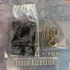 【まとめ買い大歓迎】ガンダムカード アクリルチャーム ウイングガンダムゼロ