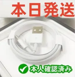 1本1m iPhone 充電器 ライトニングケーブル 純正品同等A ケ(6kQ)