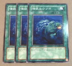 [旧仕様]強欲なウツボ ノーマル SOVR-JP058 3枚