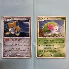 ジラーチLV.39 Pt2/シェイミLV.42 破空の激闘