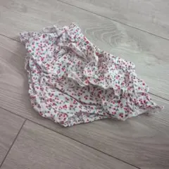 Item thumbnail for item 51c79799-2bb1-469a-8079-3487e7b59daf